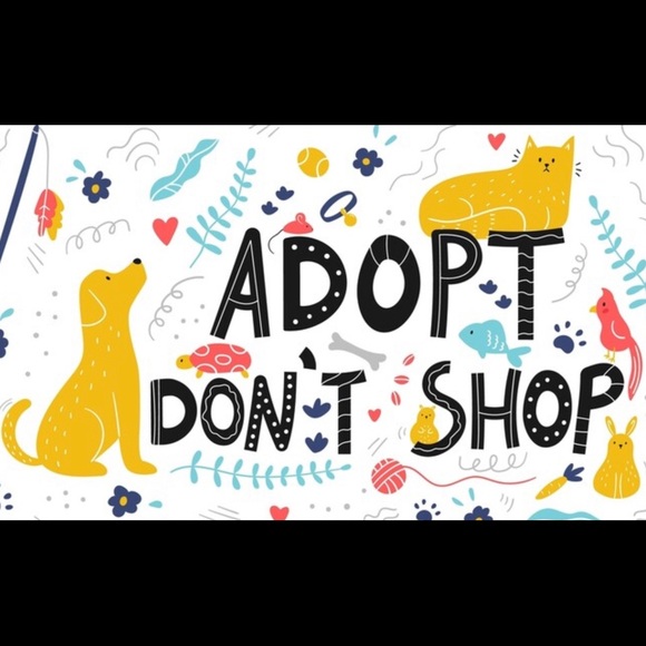 Meet your Posher, Andrea - Picture 2 of 2